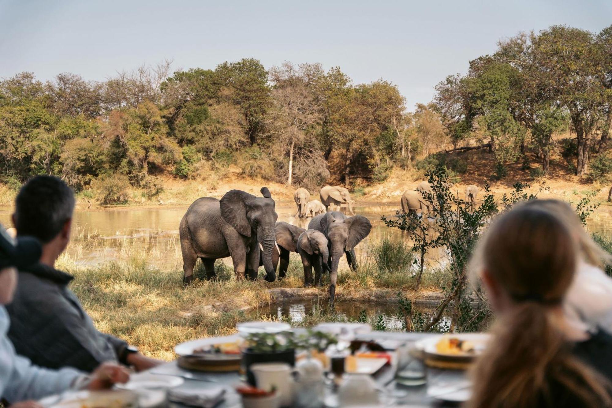 Simbavati River Lodge ティムババティ野生保護区 エクステリア 写真