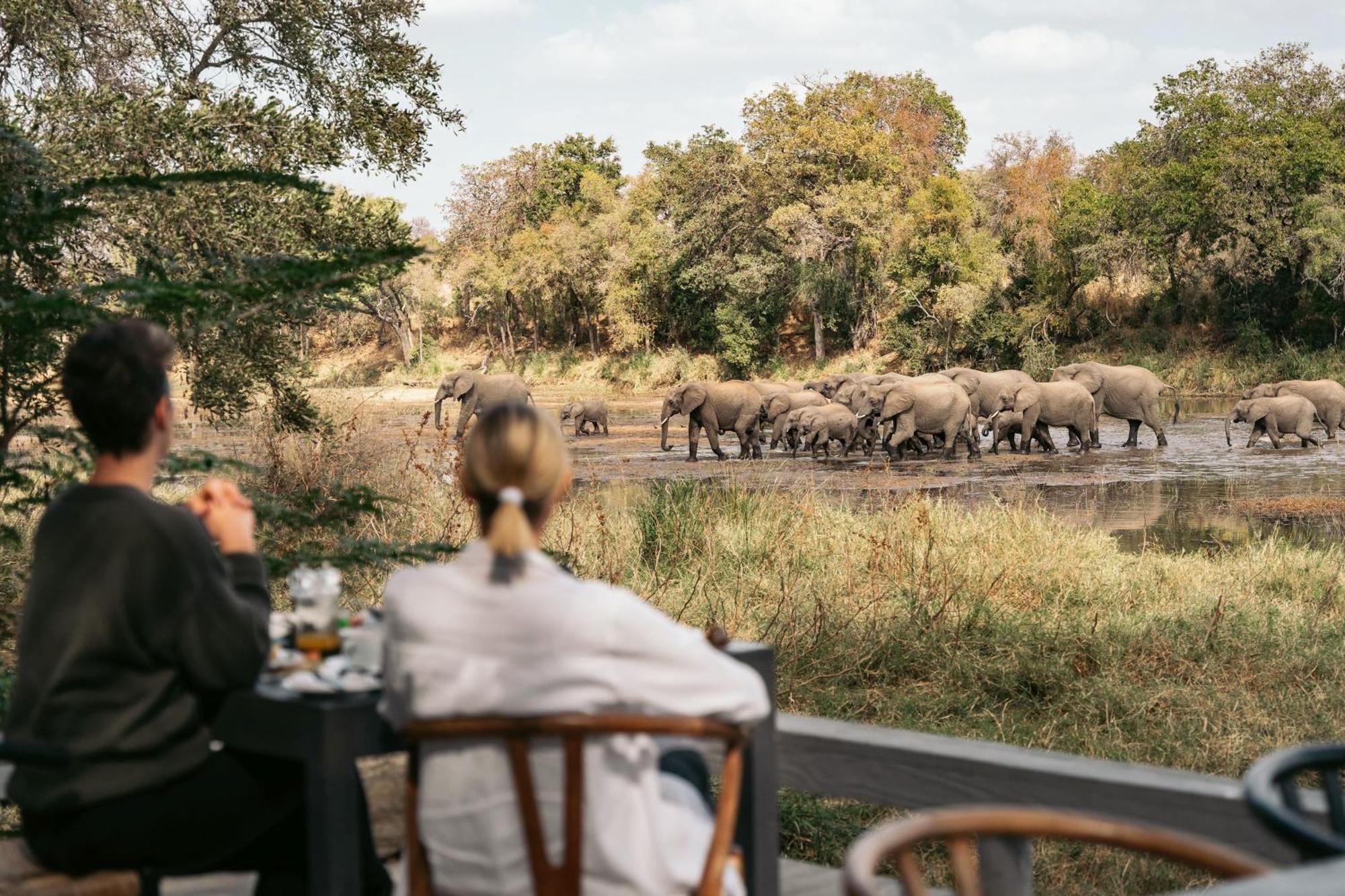 Simbavati River Lodge ティムババティ野生保護区 エクステリア 写真