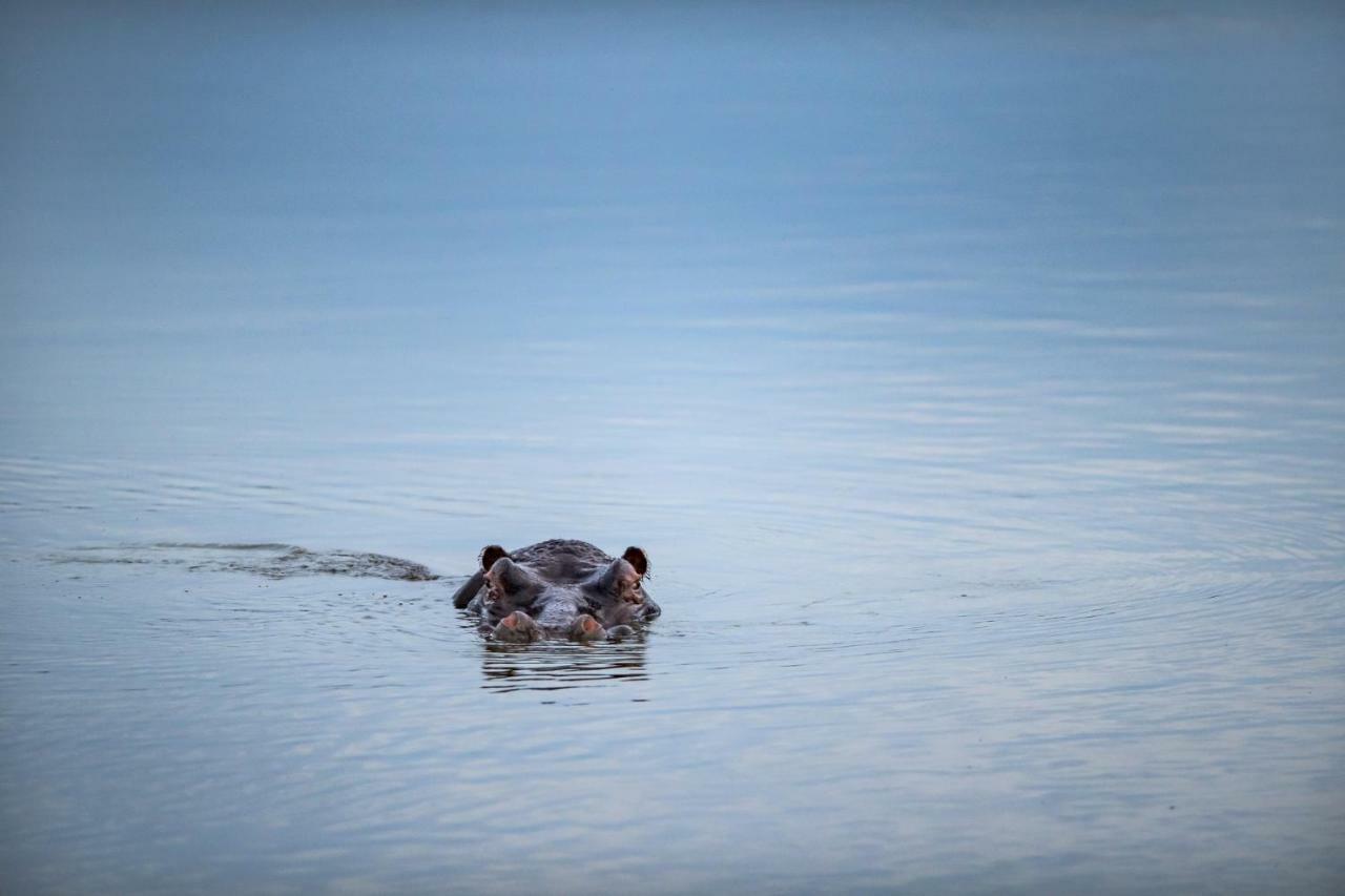 Simbavati River Lodge ティムババティ野生保護区 エクステリア 写真