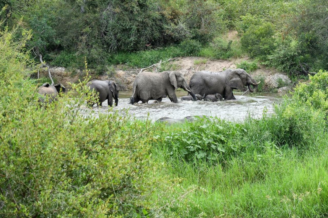 Simbavati River Lodge ティムババティ野生保護区 エクステリア 写真